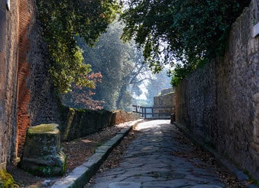 Tree lined street in ancient Pompeii