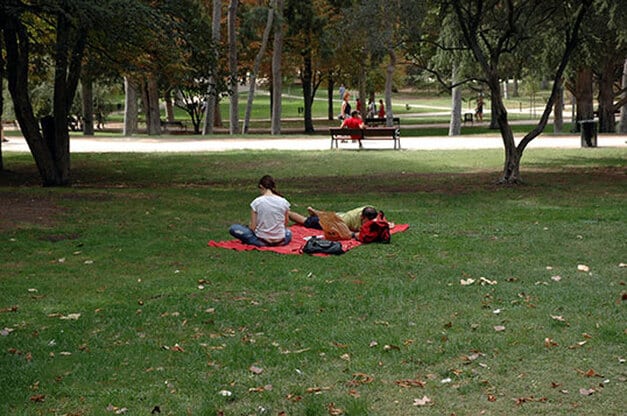 A peaceful retreat in the Retiro Park, Madrid
