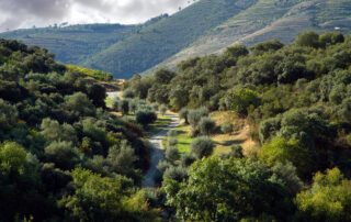 Duro Valley Portugal