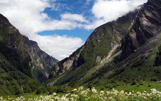 Valley of the Flowers, Himalayas