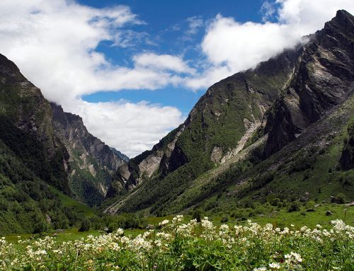 A 2025 Reawakening in the Heart of the Himalayas