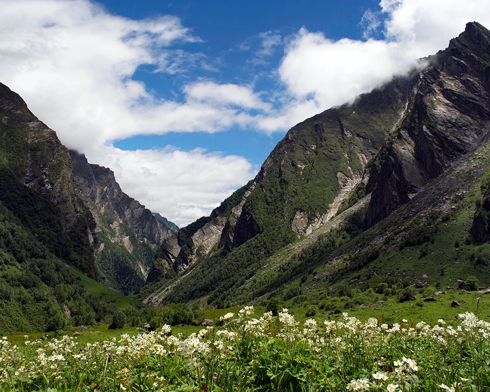 ValleyoftheFlowers_211895686_WEB Valley of the Flowers, Himalayas